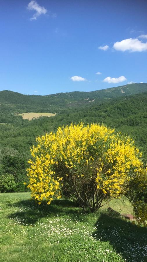 Nido D'Amore Nei Colori Dernice Eksteriør billede